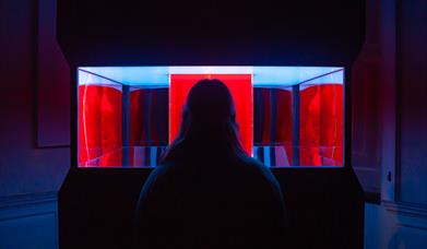 Someone looking at an exhibition
