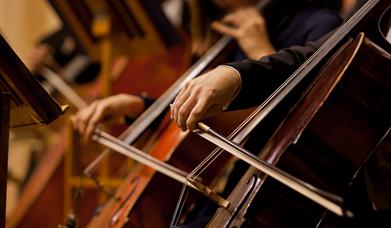 Stringed instruments