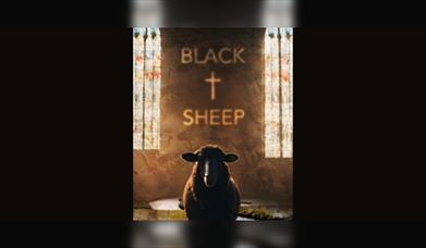 curious directive: Black Sheep