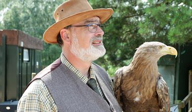 Cheshire Falconry