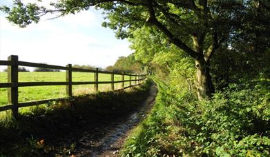 Daisy Nook footpath