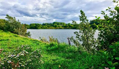 Pennington Flash