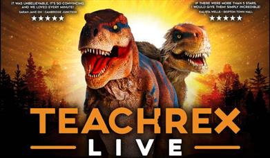 Teach Rex Poster