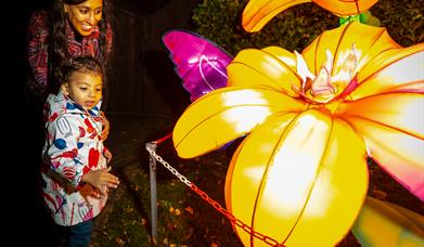 Land of Lights Lantern Festival